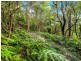 Lot B Morrison Avenue, Wombarra NSW 2515