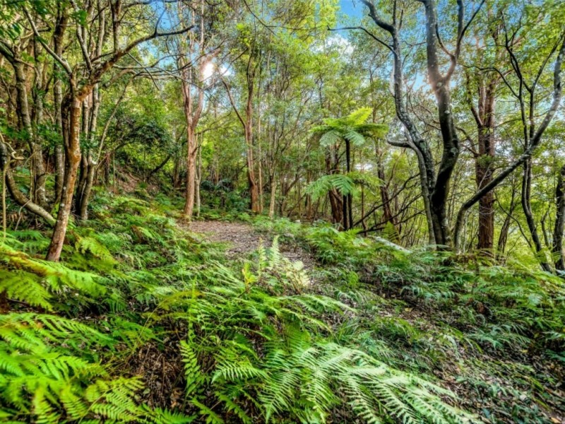 Lot B Morrison Avenue, Wombarra NSW 2515
