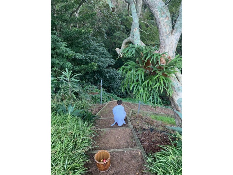 8 Squires Crescent, Coledale NSW 2515