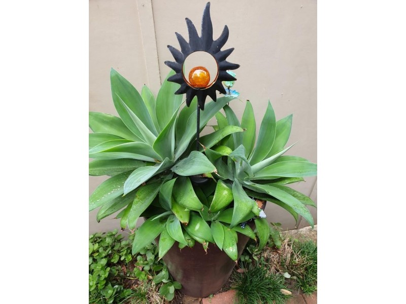 790 Lawrence Hargrave Drive, Coledale NSW 2515