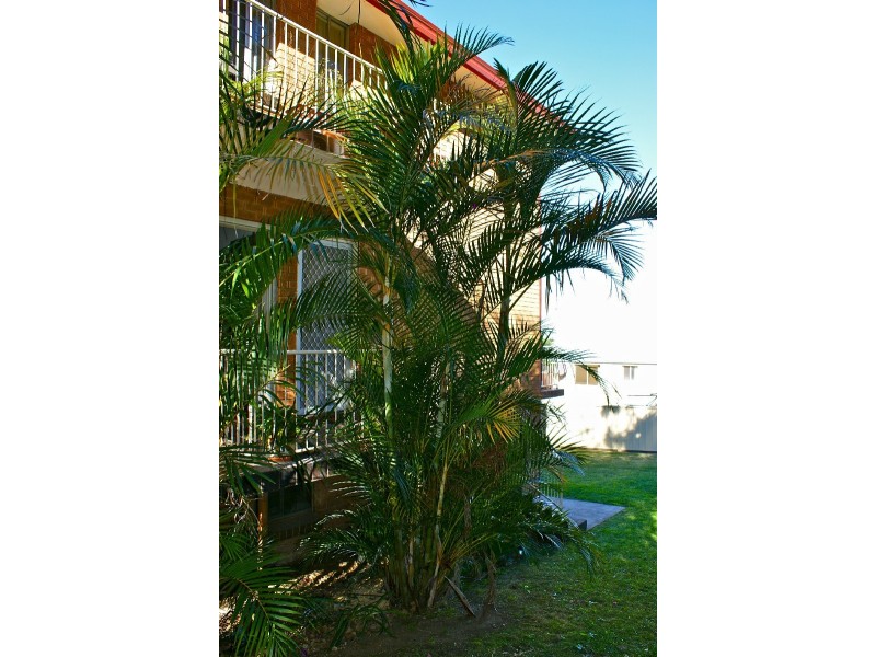 Wollongong NSW 2500