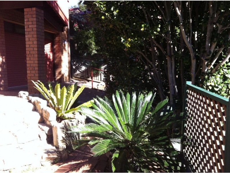 44 The Grove, Austinmer NSW 2515