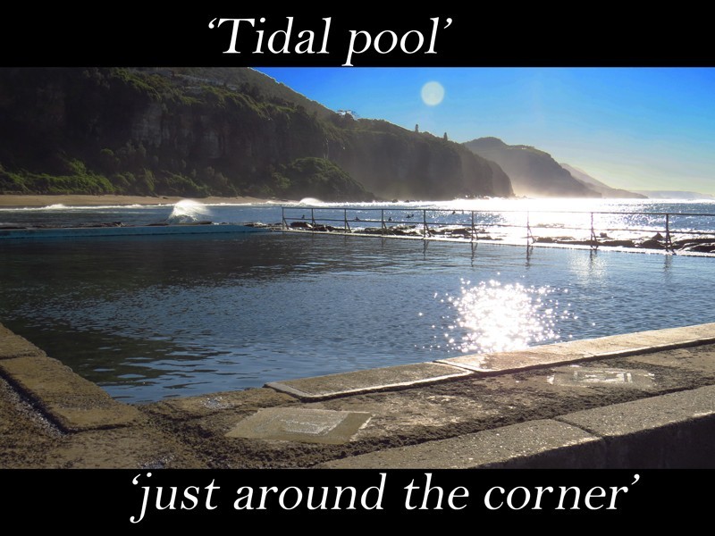 12 Murrawal Road, Stanwell Park NSW 2508