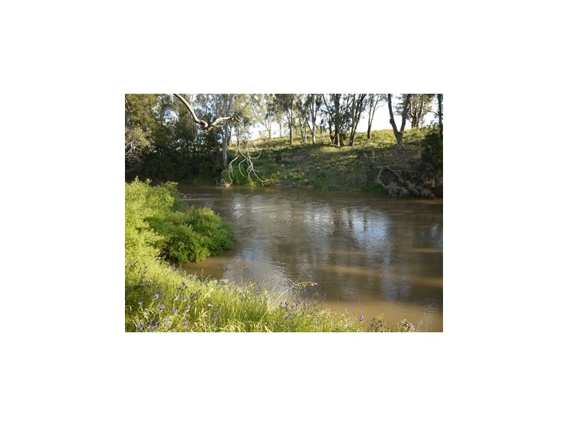 LOONGANA MacArthur Onslow Road, Canowindra NSW 2804