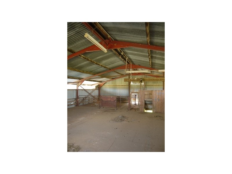 LOONGANA MacArthur Onslow Road, Canowindra NSW 2804