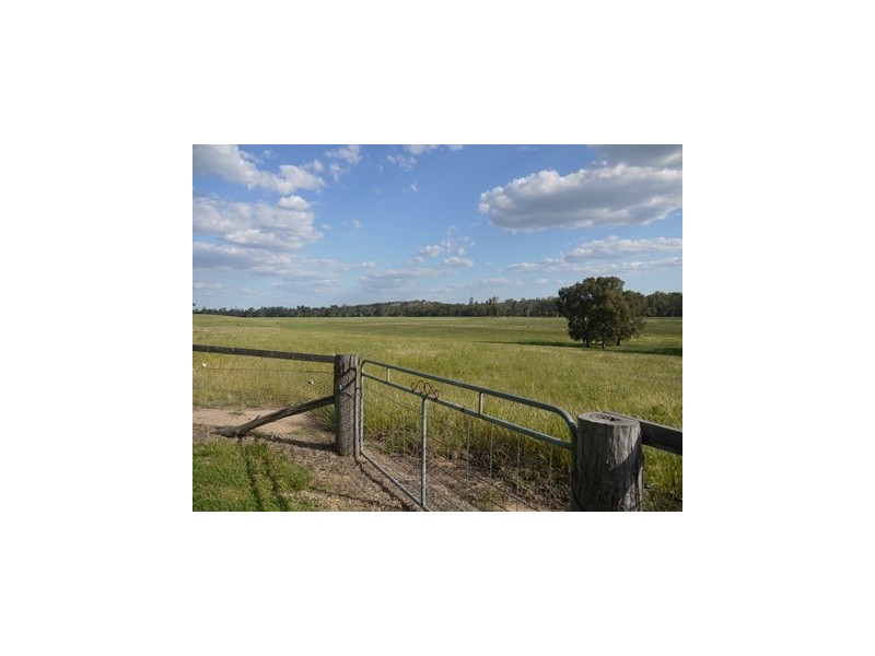 LOONGANA MacArthur Onslow Road, Canowindra NSW 2804