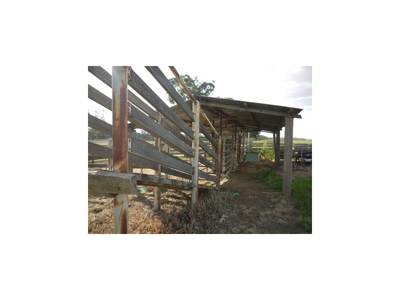 LOONGANA MacArthur Onslow Road, Canowindra NSW 2804