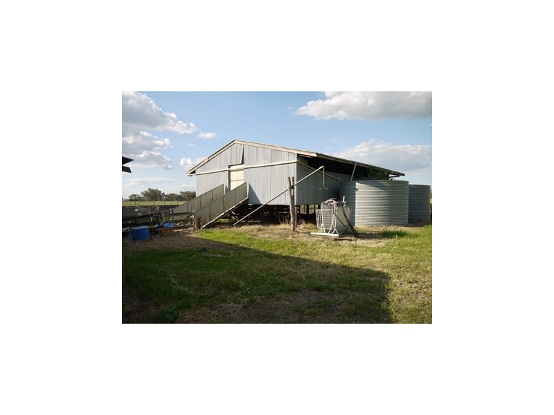 LOONGANA MacArthur Onslow Road, Canowindra NSW 2804