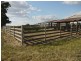 LOONGANA MacArthur Onslow Road, Canowindra NSW 2804