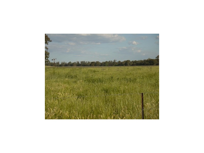 LOONGANA MacArthur Onslow Road, Canowindra NSW 2804