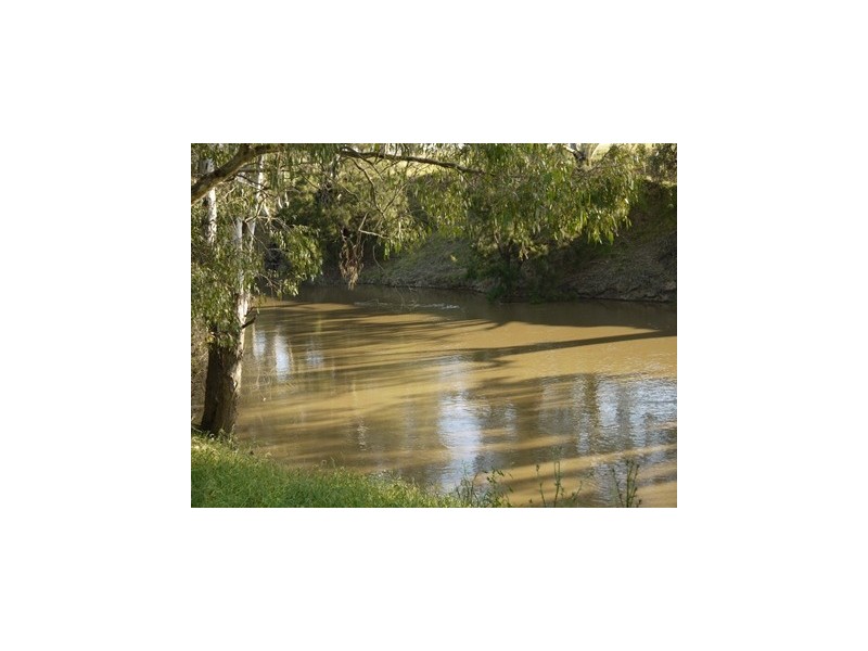 LOONGANA MacArthur Onslow Road, Canowindra NSW 2804