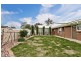 20 Hartog Street, Fairview Park SA 5126