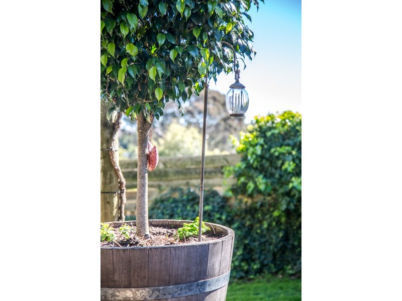 18 Casuarina Avenue, Surrey Downs SA 5126