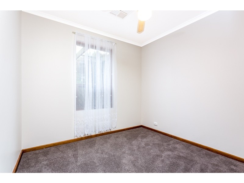 25 Armagh Street, Athelstone SA 5076