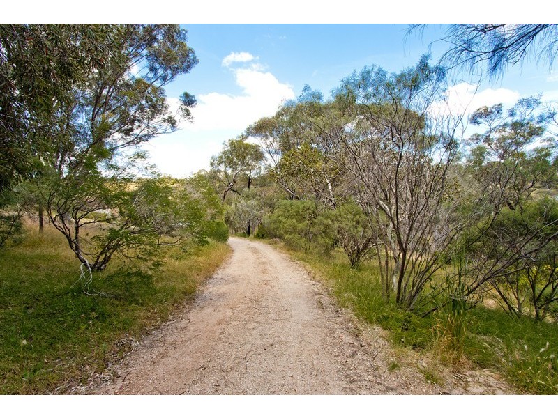 242 Alexander Avenue, Bibaringa SA 5118
