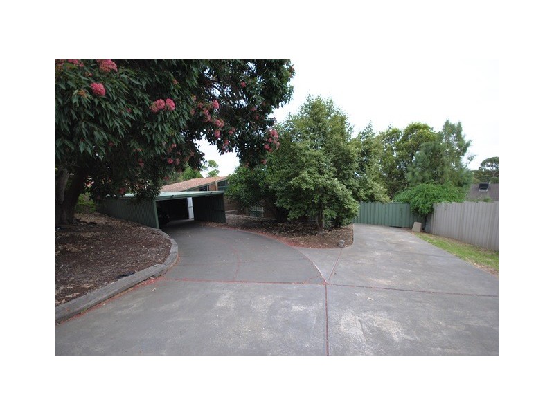 9 Camelia Street, Tea Tree Gully SA 5091