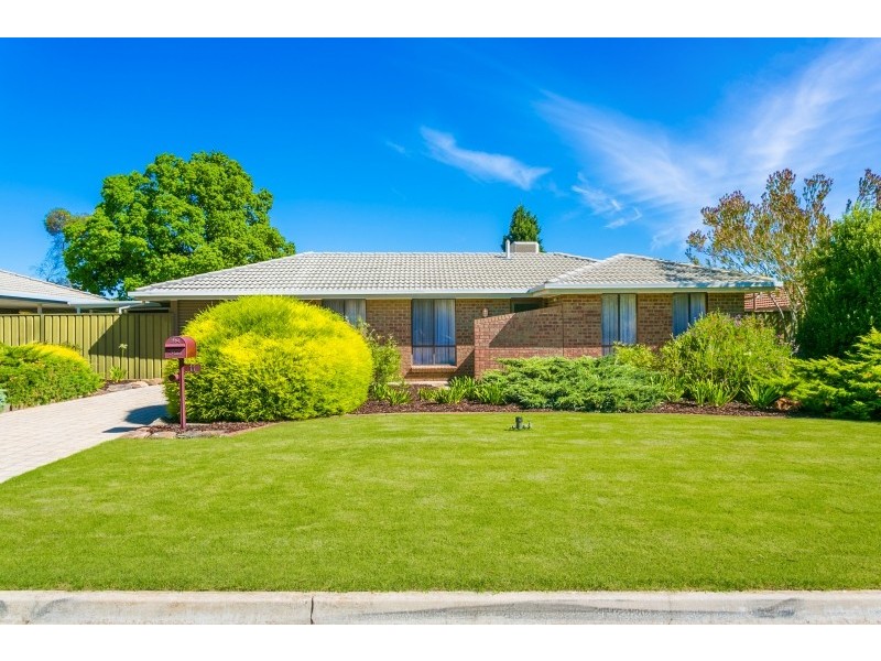 11 Zanoni Cresent, Surrey Downs SA 5126