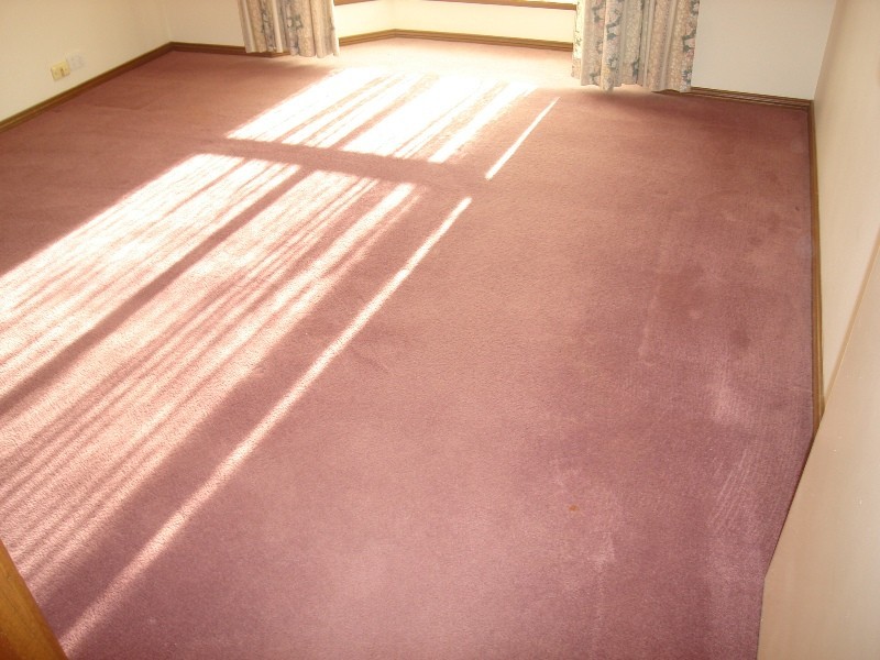 20 Shearwater Place, Wynn Vale SA 5127