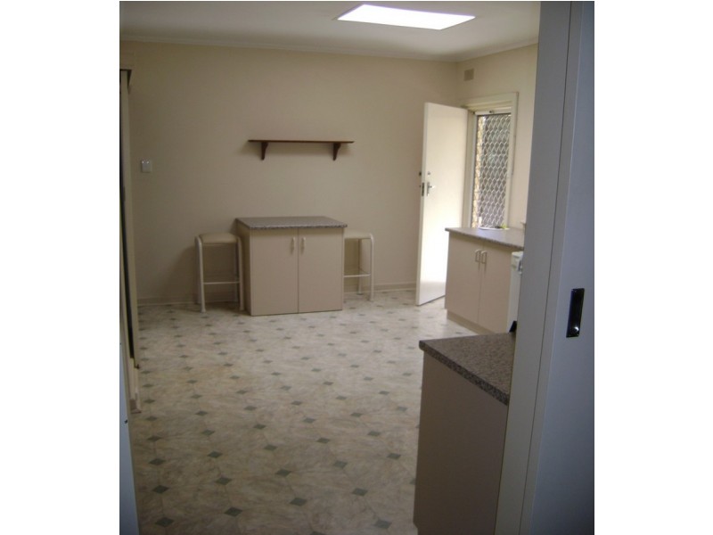 132 Haines Road, Banksia Park SA 5091