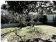 11 The Driveway, Holden Hill SA 5088