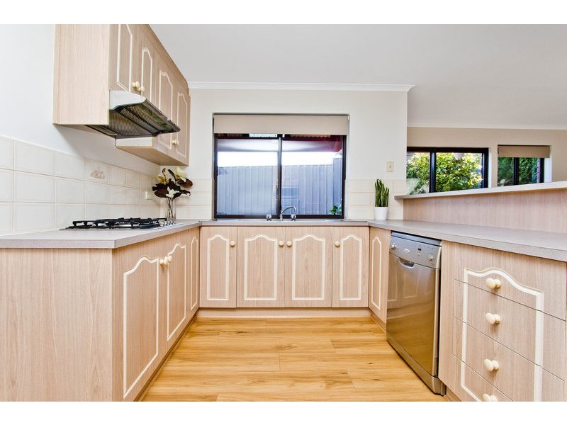 3 Murphy Street, Wynn Vale SA 5127