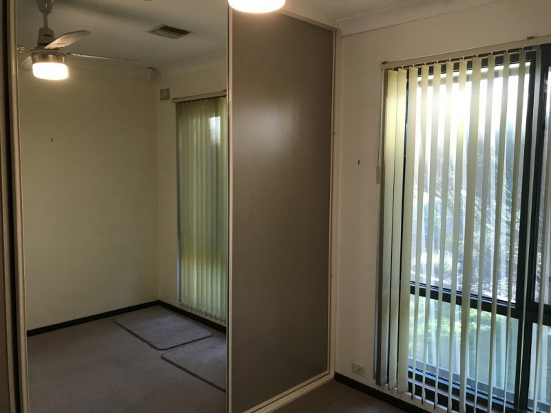 23 Newcombe Drive, Gilles Plains SA 5086