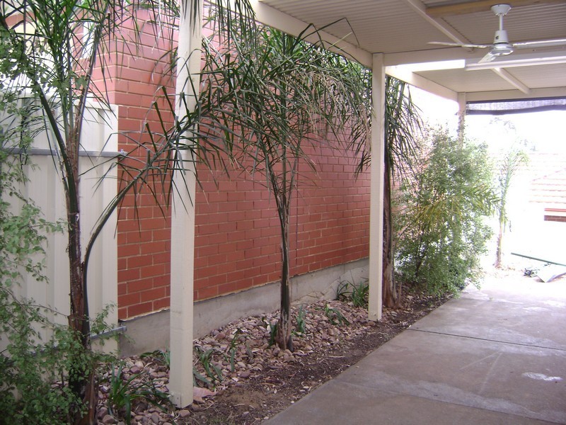 24 William Street, Tea Tree Gully SA 5091
