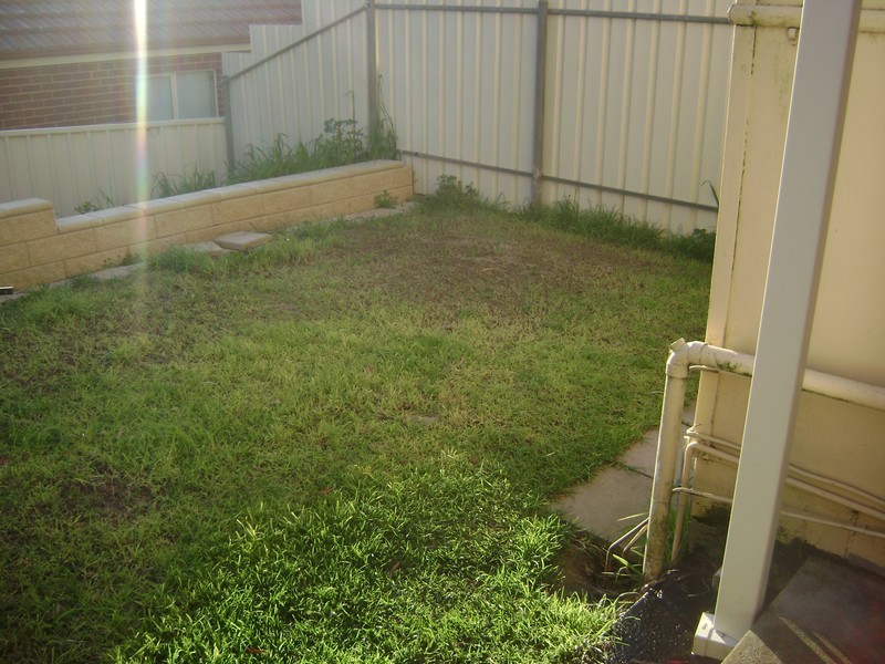 24 William Street, Tea Tree Gully SA 5091
