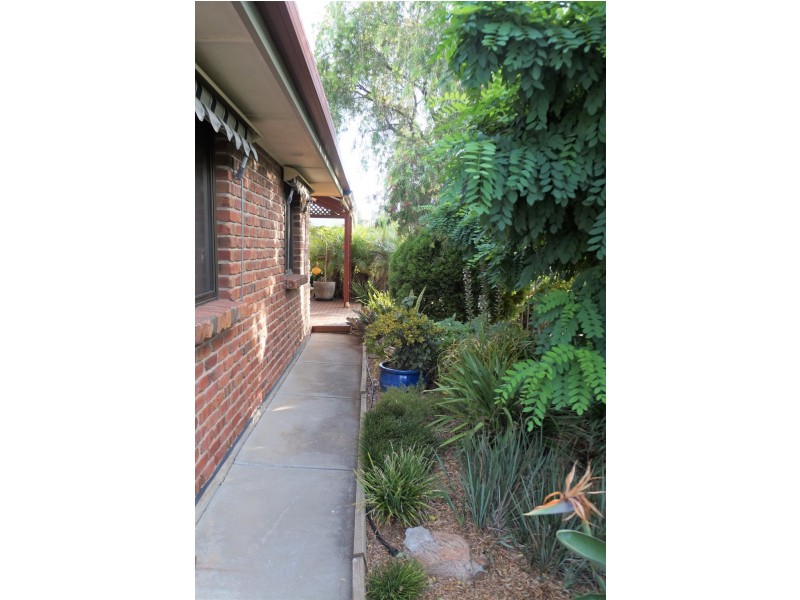 24 PRELATE COURT, Wynn Vale SA 5127