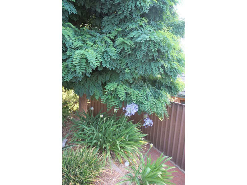 24 PRELATE COURT, Wynn Vale SA 5127