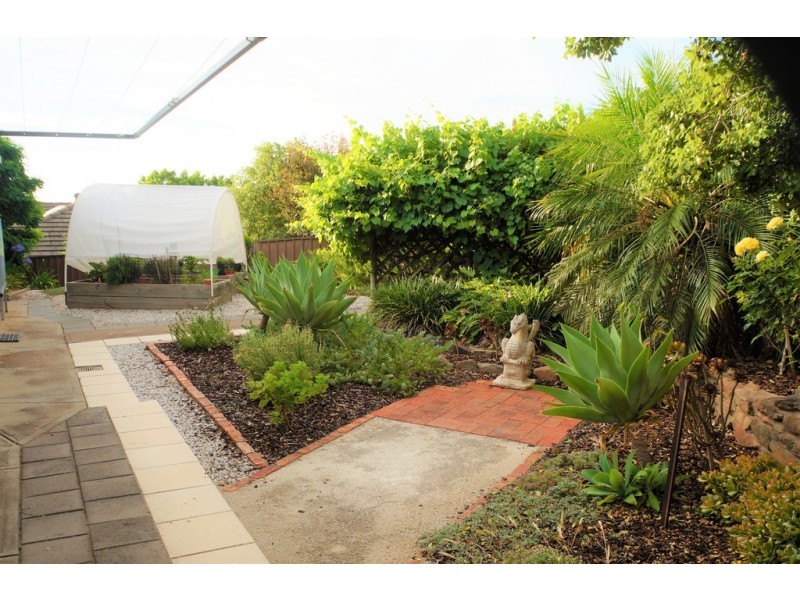 24 PRELATE COURT, Wynn Vale SA 5127