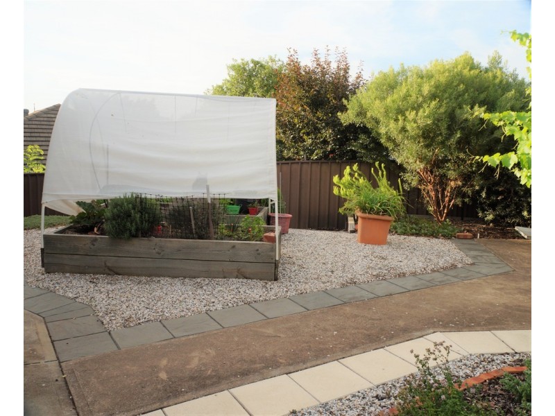 24 PRELATE COURT, Wynn Vale SA 5127