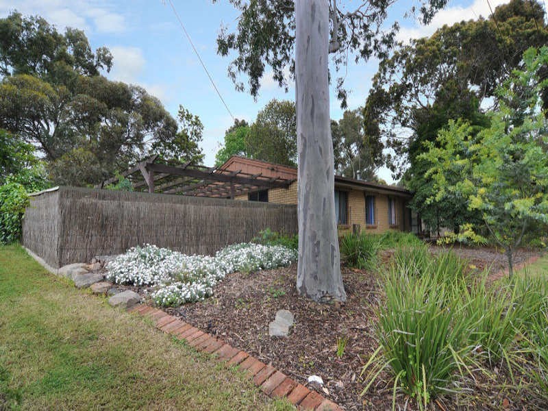 16 Terrigal Road, Redwood Park SA 5097