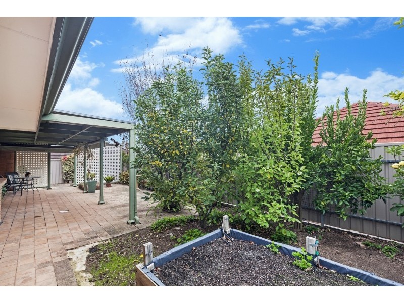 40 Angove Park Drive, Tea Tree Gully SA 5091