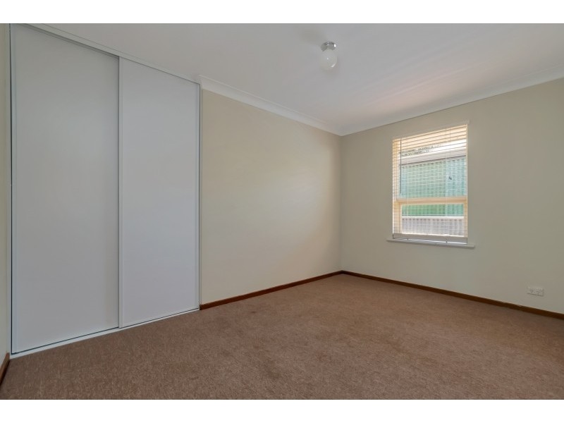 11 Radiata Grove, Salisbury Heights SA 5109