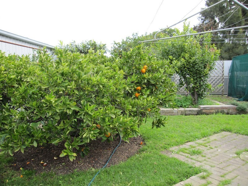 3 Kanowna Street, Gilles Plains SA 5086