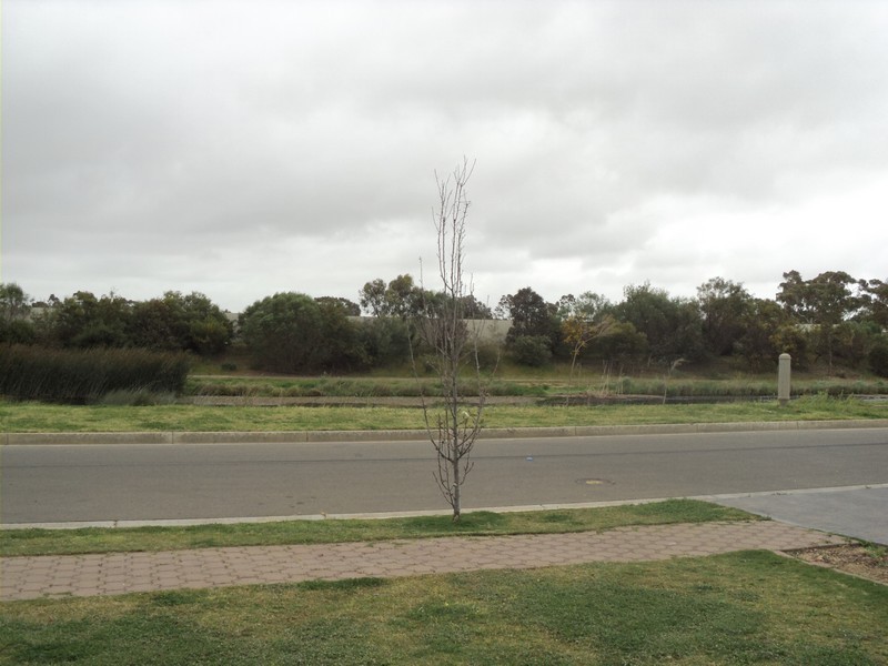 25 Lakeridge Circuit, Burton SA 5110