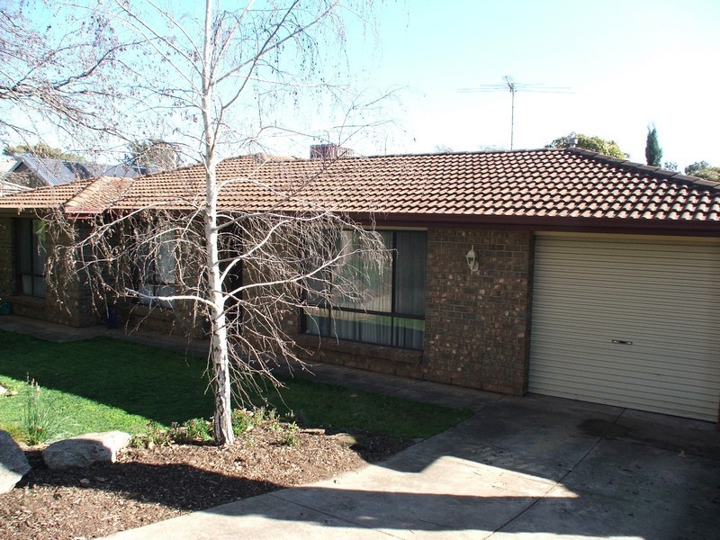 4 John Renwick Place, Modbury Heights SA 5092