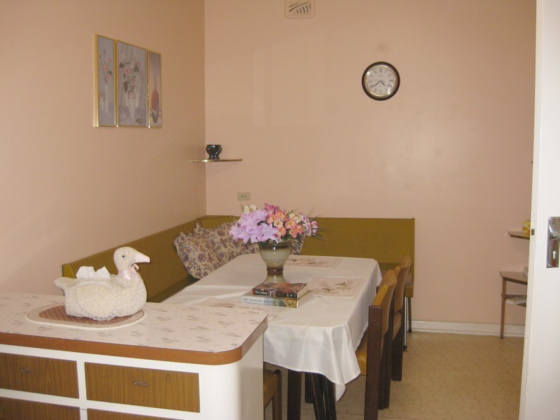 19 Briant Road, Magill SA 5072