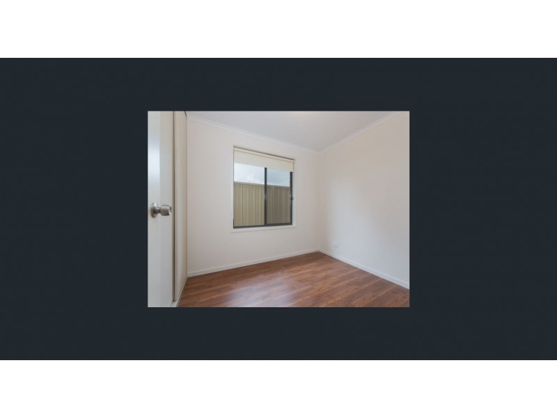 8 Facit Street, Newton SA 5074