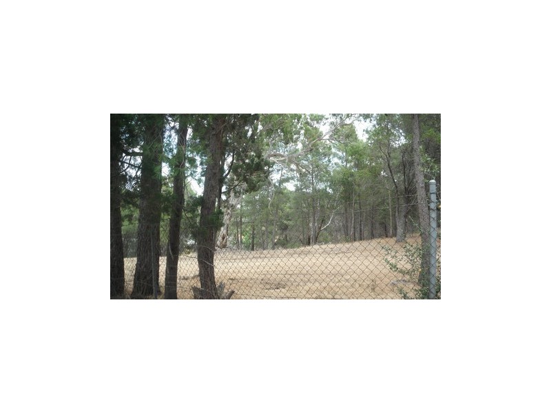 5 Windsor Road, Highbury SA 5089