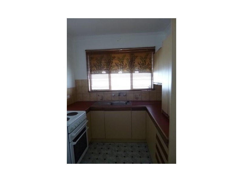 117  Hancock Road, Tea Tree Gully SA 5091