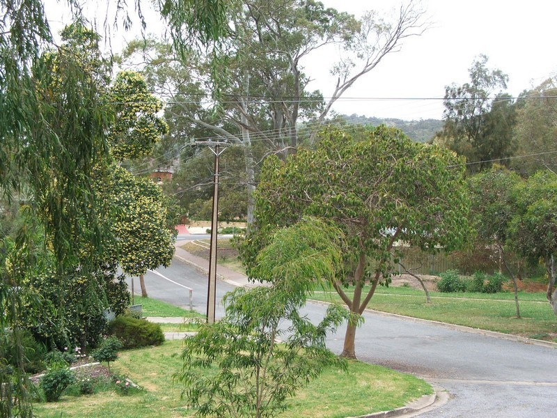 22 Clare Avenue, Athelstone SA 5076
