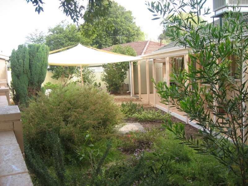 19 Tarraleah Street, Banksia Park SA 5091