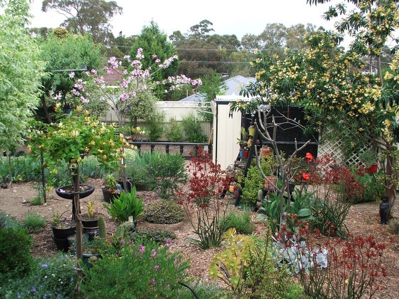 42 Francis Street, St Agnes SA 5097