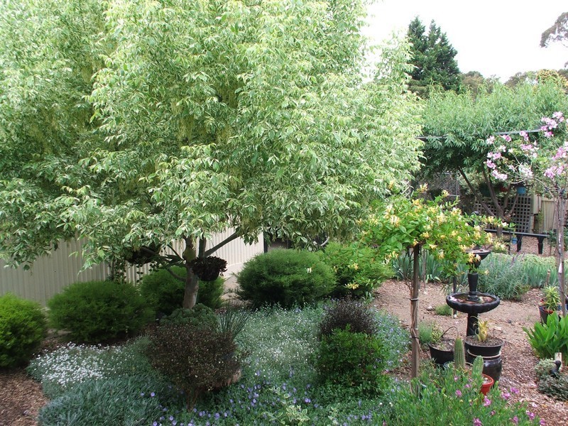 42 Francis Street, St Agnes SA 5097