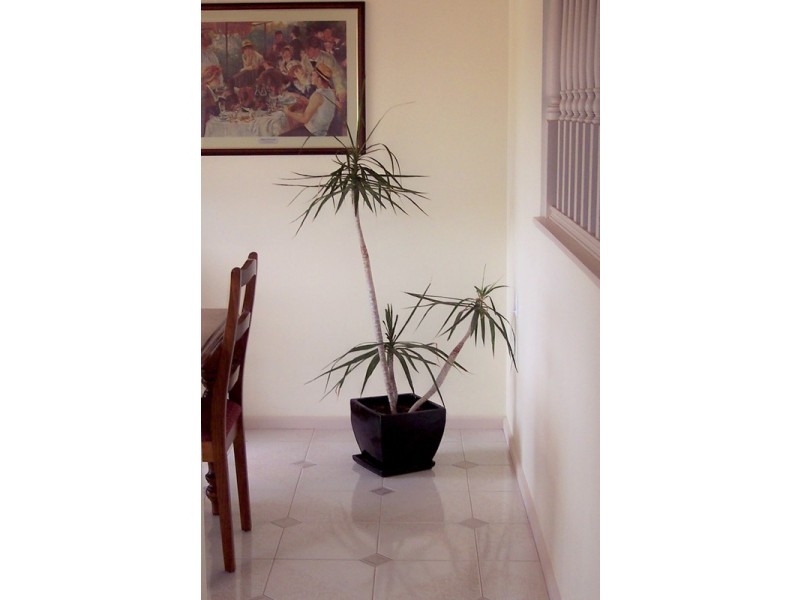 10 Grasslands Court, Wynn Vale SA 5127