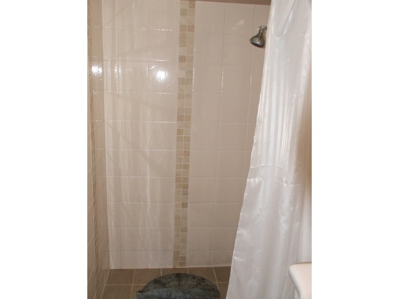 17 Shortridge Street, Modbury Heights SA 5092