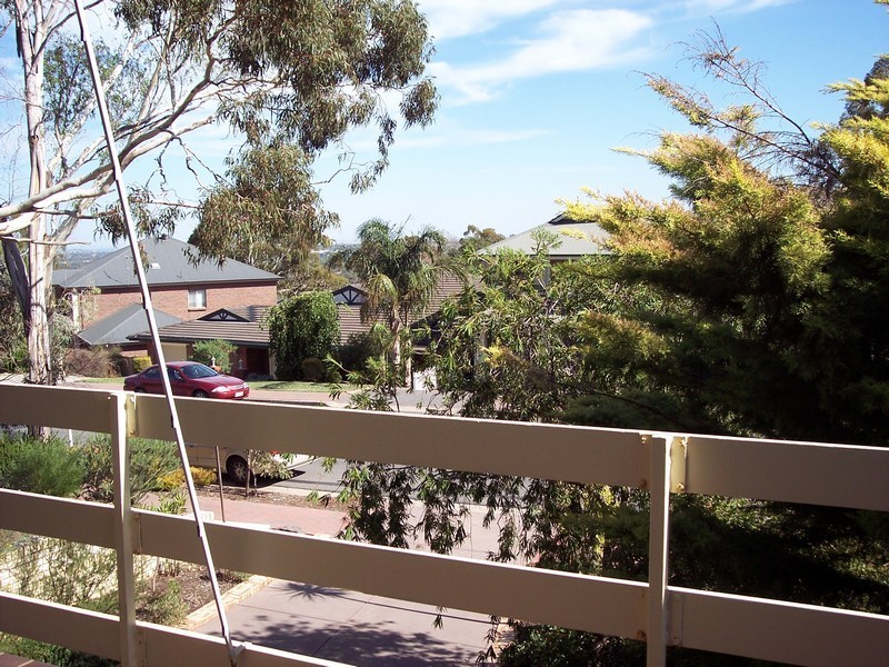 17 Quondong Avenue, Athelstone SA 5076