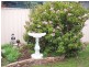 1 Gordon Avenue, St Agnes SA 5097